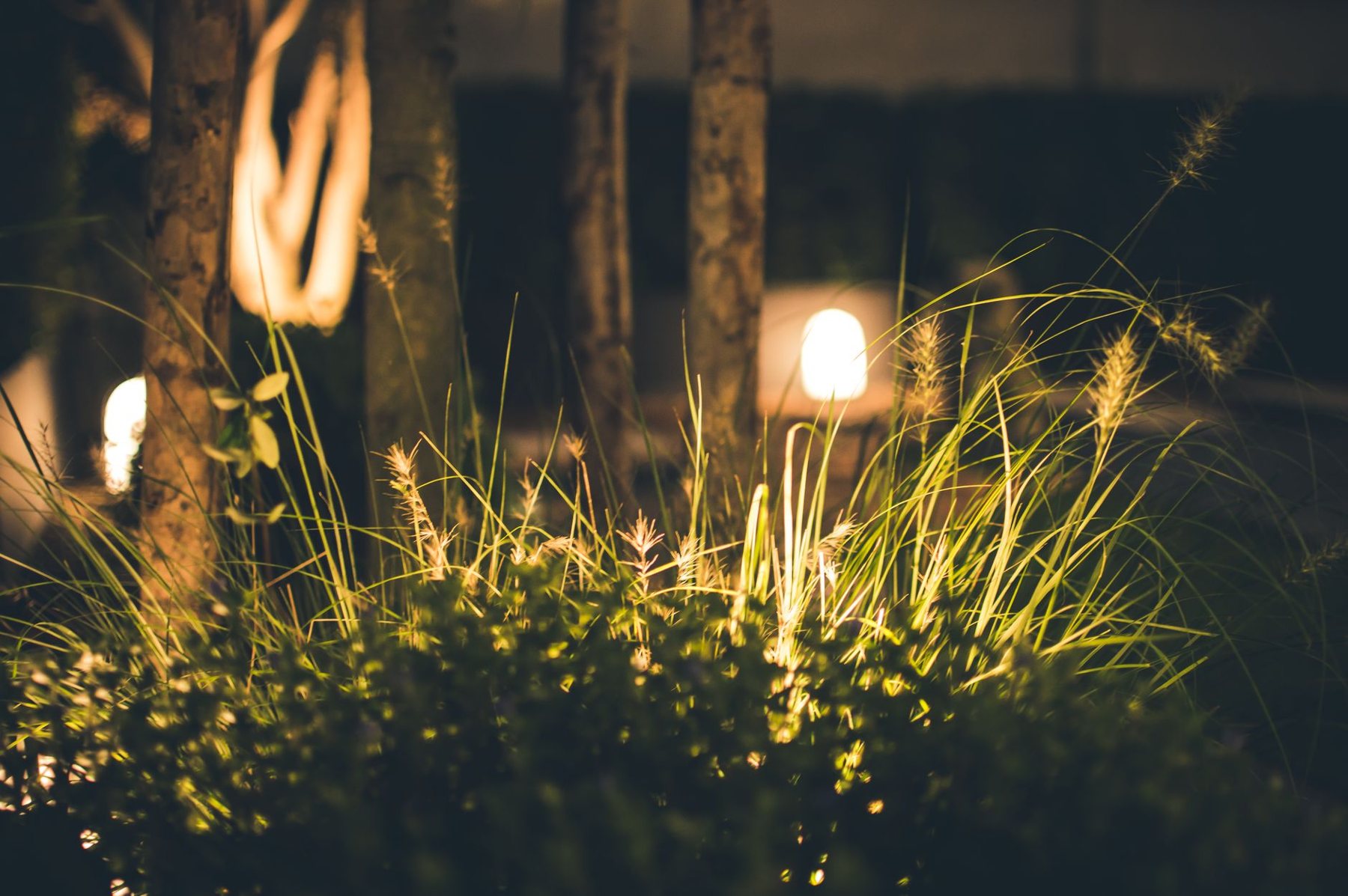 Landscape lighting at dusk in Peoria, AZ